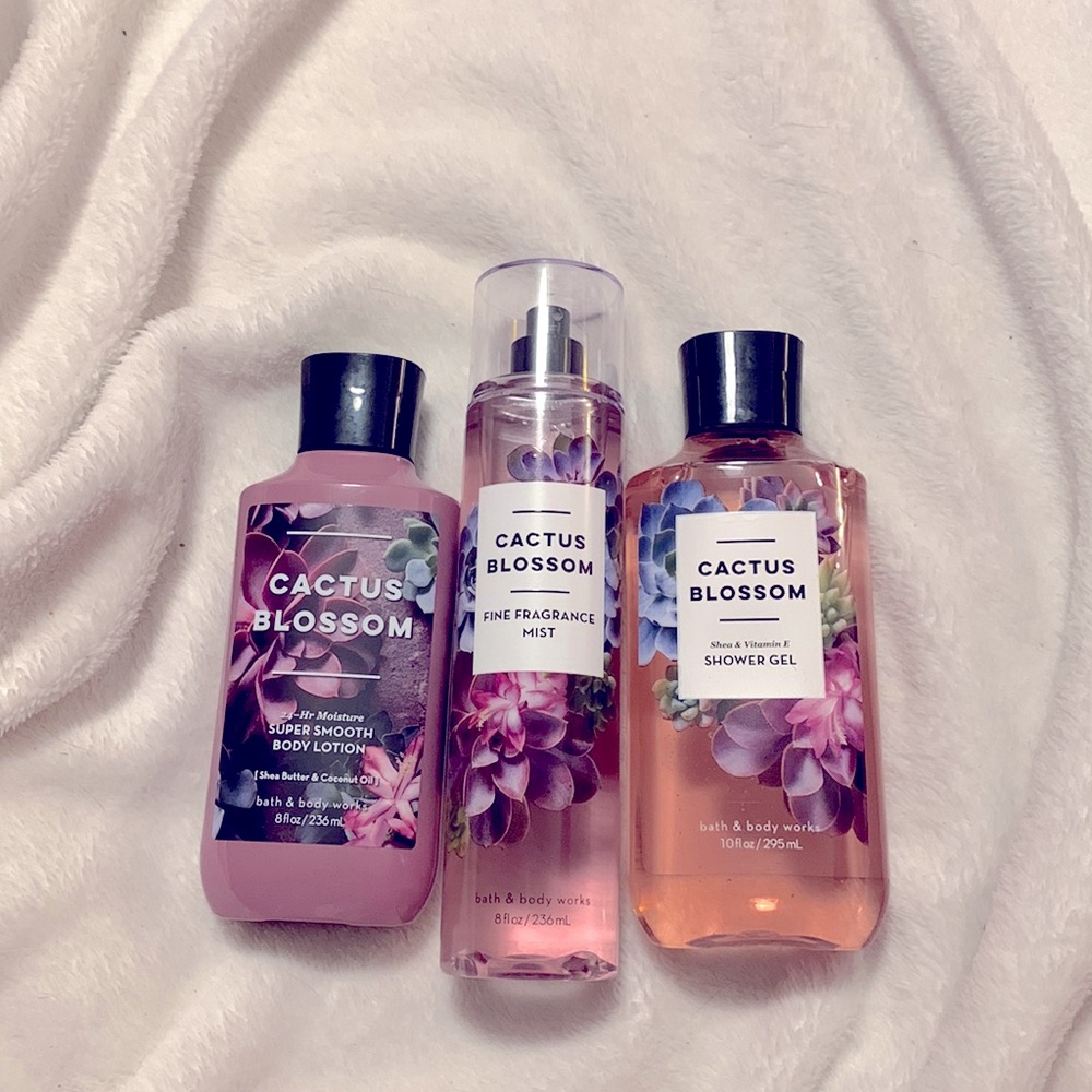Bath and Body Works bundle